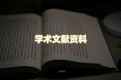 学术文献资料