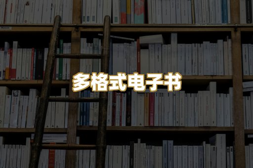 多格式电子书